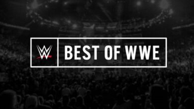 Best Of WWE Fathers Day Fights June 14th 2024